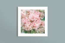 Load image into Gallery viewer, CANDY FLOSS