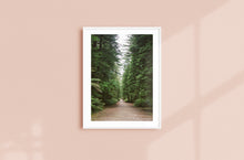 Load image into Gallery viewer, REDWOOD FOREST